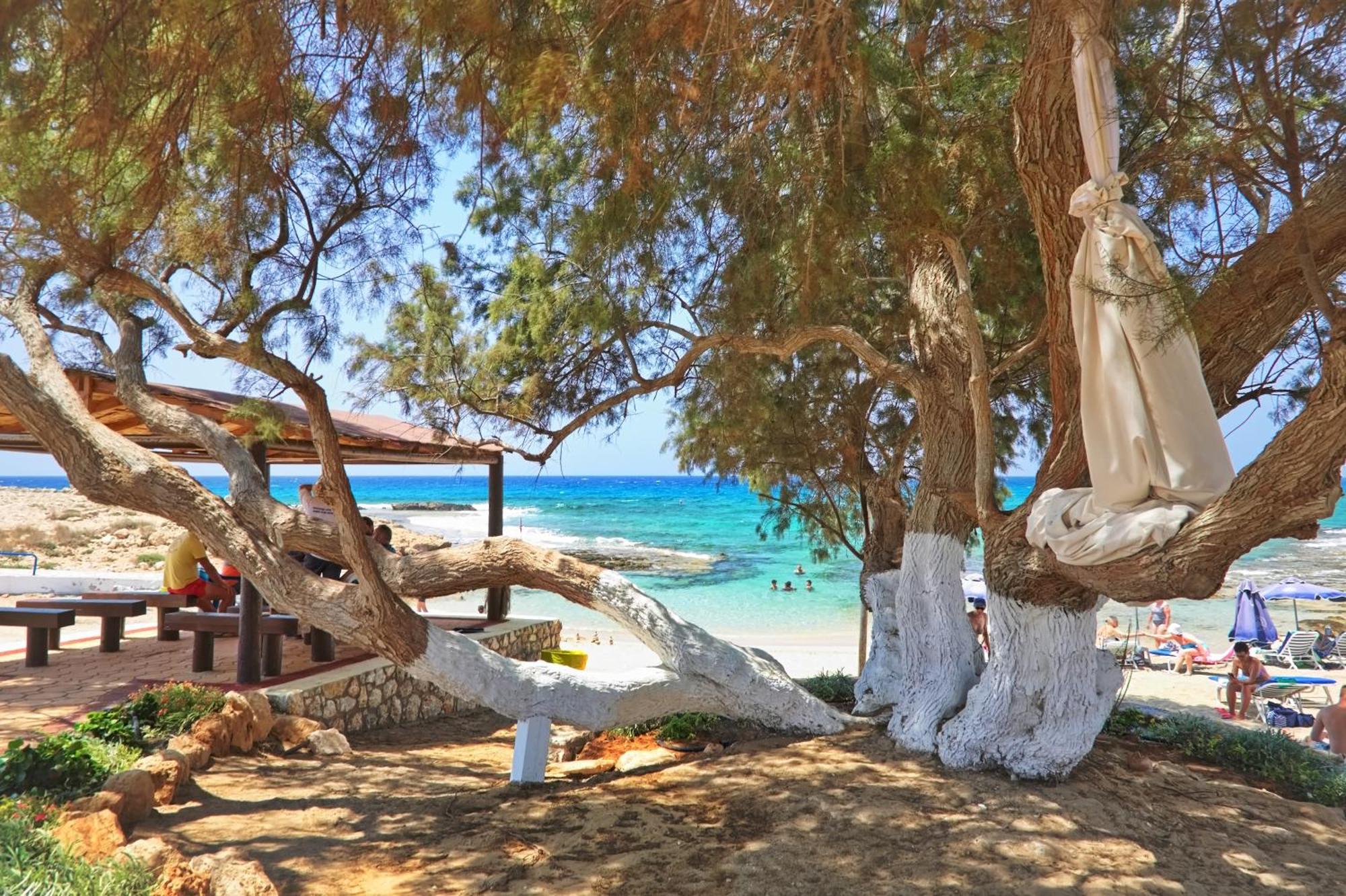 Sea Pearl Beachfront Villas - Breeze Айя Напа Екстериор снимка